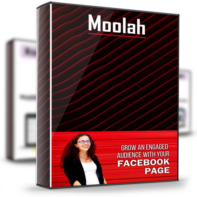 Facebook Page Strategies X–Course – Moolah 1 Facebook Page Strategies X–Course – Moolah